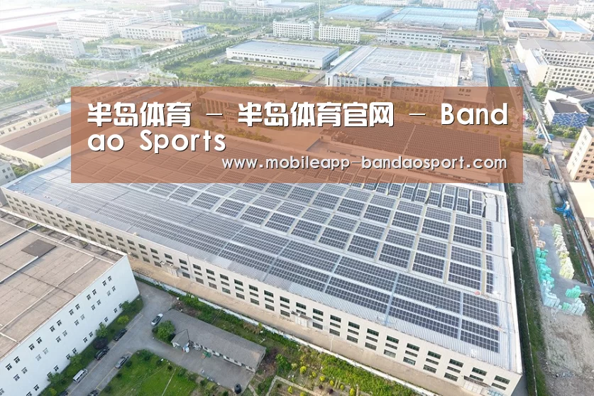 案例展示二
