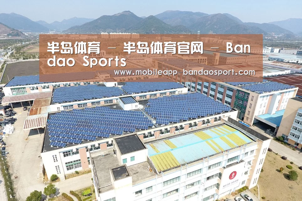 案例展示二