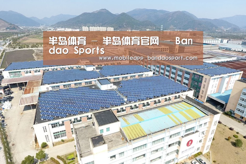 案例展示一