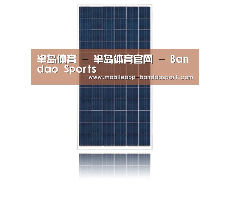 产品名称一