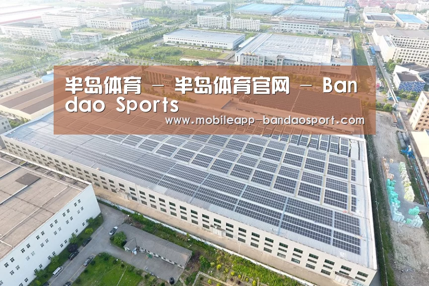 案例展示三