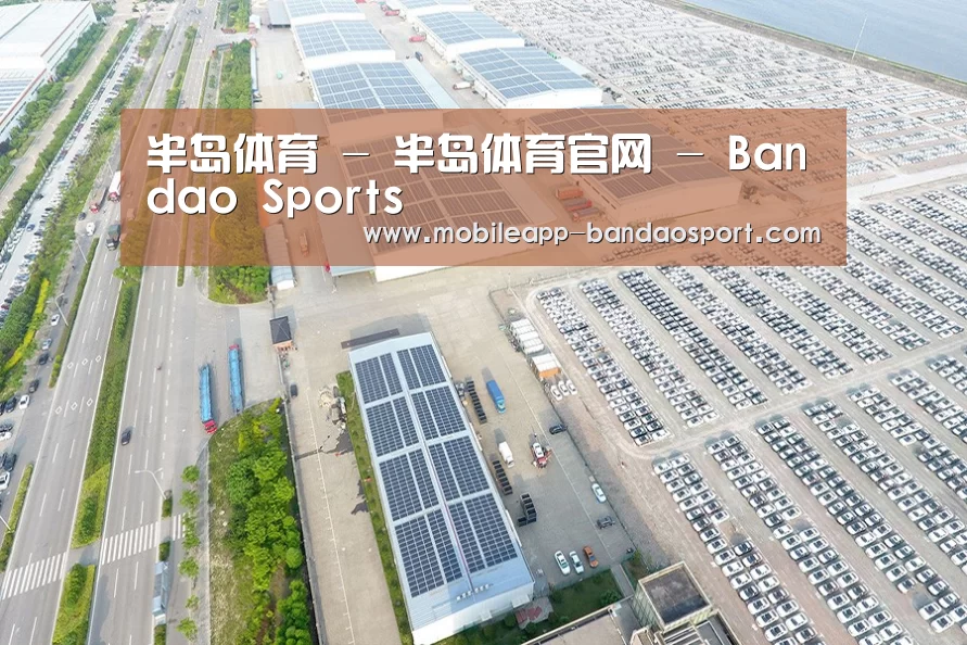 案例展示四