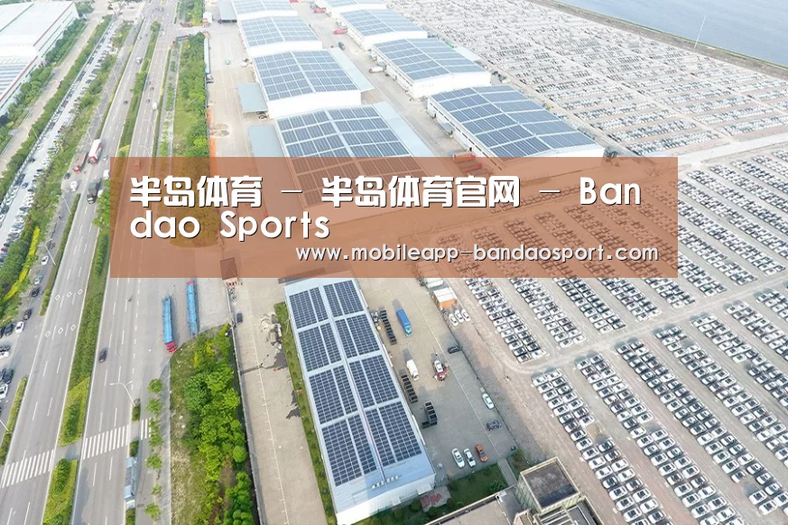 案例展示二