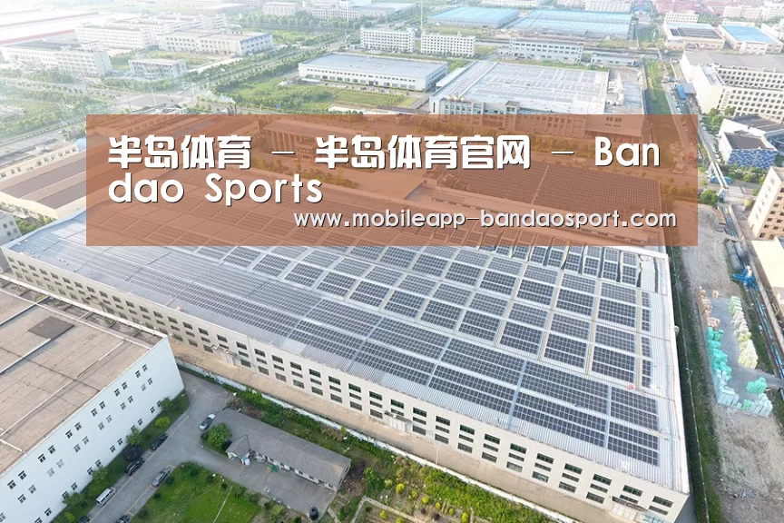 案例展示四