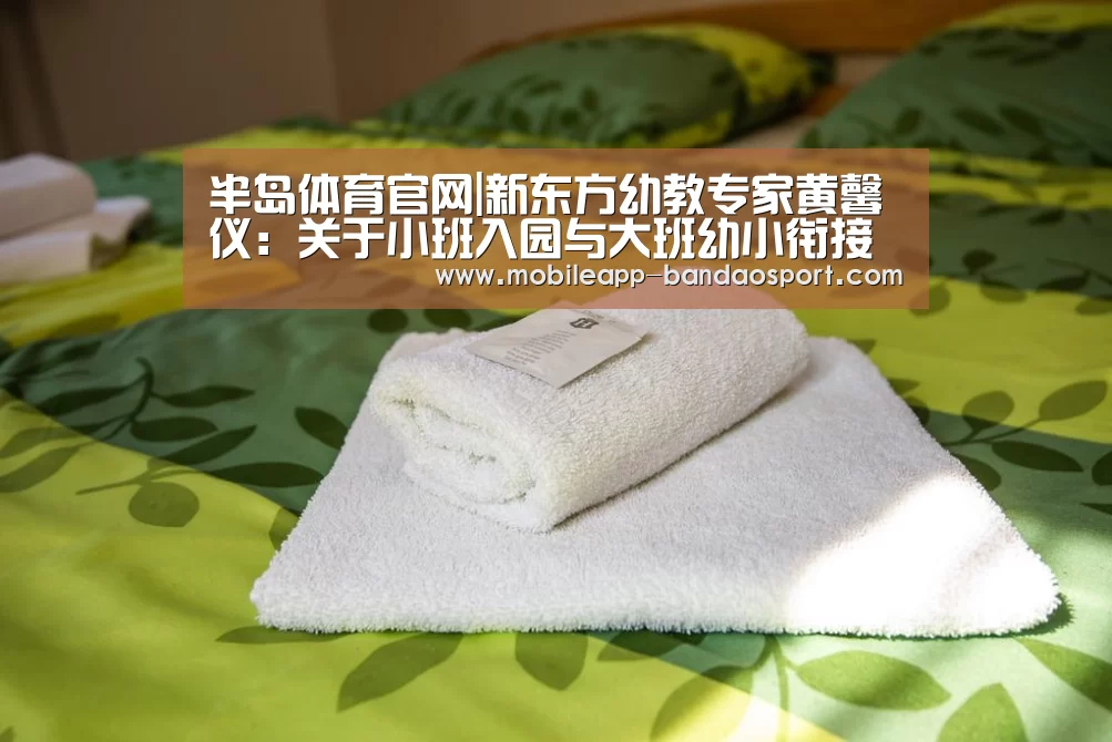 半岛体育官网|新东方幼教专家黄馨仪:关于