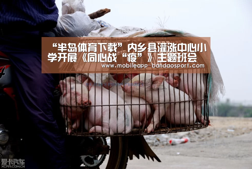 “半岛体育下载”内乡县灌涨中心小学开展《同心战“疫”》主题班会活动(图1) 半岛体育