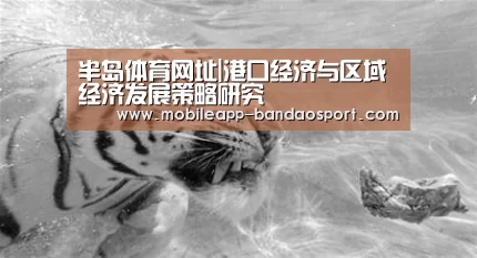 半岛体育