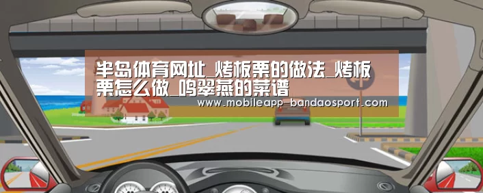半岛体育网址_烤板栗的做法_烤板栗怎么做_鸣翠燕的菜谱(图1)