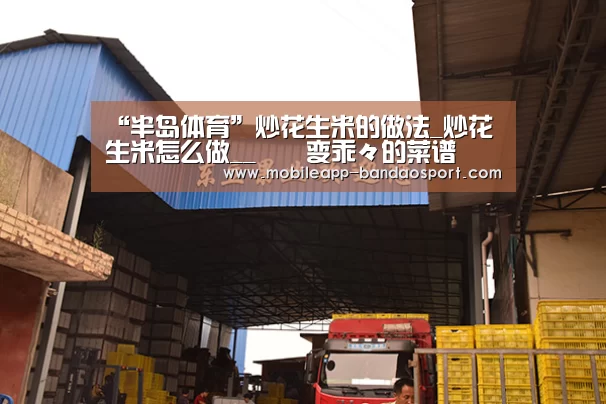 “半岛体育”炒花生米的做法_炒花生米怎么做__蒍鉨变乖々的菜谱(图4)
