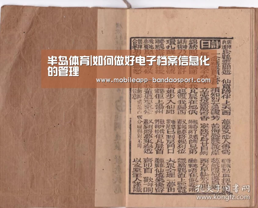 半岛体育|如何做好电子档案信息化的管理(图2)