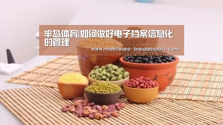 半岛体育|如何做好电子档案信息化的管理(图1)