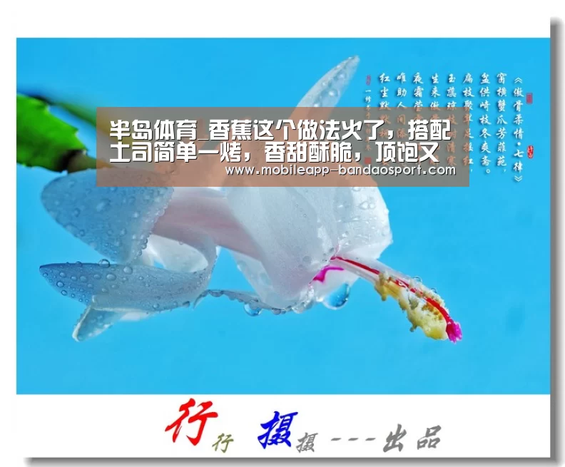 半岛体育_香蕉这个做法火了，搭配土司简单一烤，香甜酥脆，顶饱又好吃(图1)