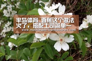 半岛体育