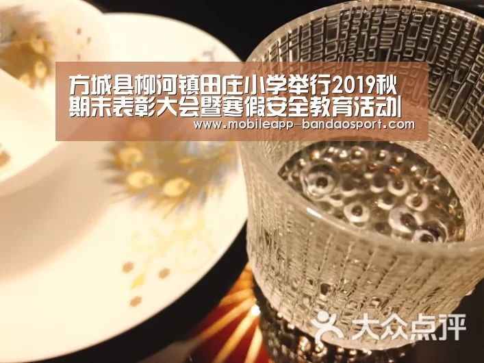 方城县柳河镇田庄小学举行2019秋期末表彰大会暨寒假安全教育活动|半岛体育网址(图3)