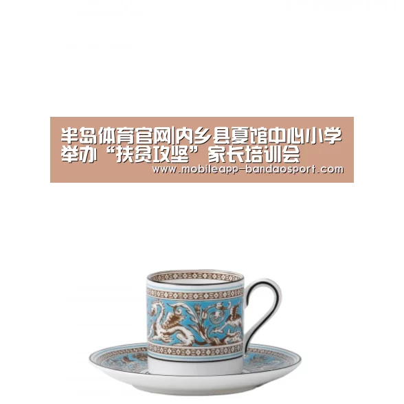 半岛体育官网