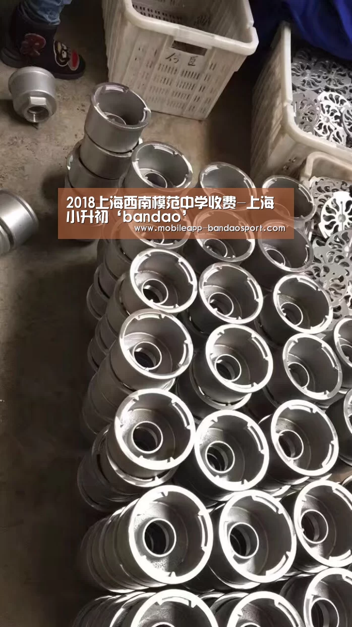 2018上海西南模范中学收费-上海小升初‘bandao’(图2)