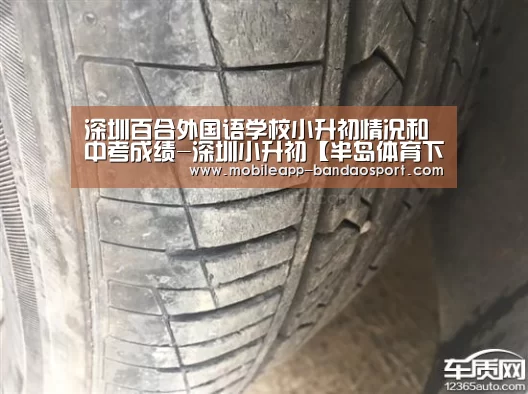 深圳百合外国语学校小升初情况和中考成绩-深圳小升初【半岛体育下载】(图1) 半岛体育网址