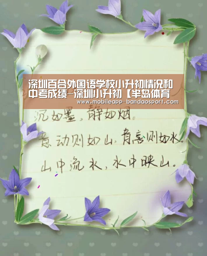 深圳百合外国语学校小升初情况和中考成绩-深圳小升初【半岛体育下载】(图4) 深圳百合外国语学校小升初情况和中考成绩-深圳小升初【半岛体育下载】(图4)