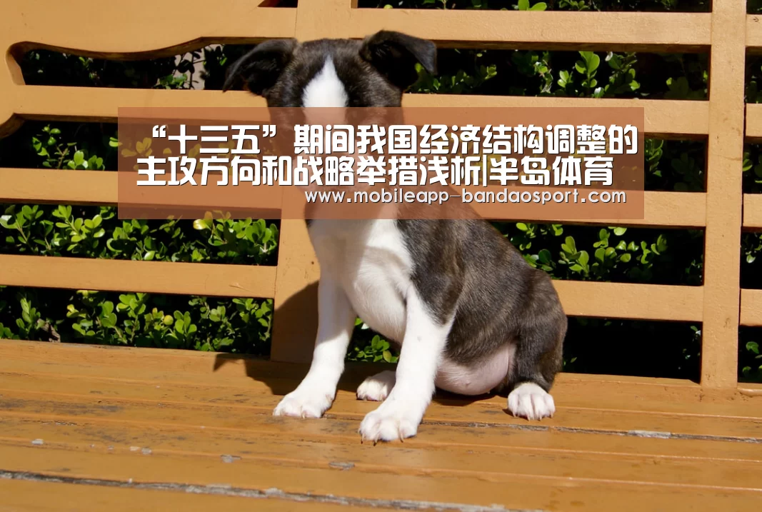 “十三五”期间我国经济结构调整的主攻方向和战略举措浅析|半岛体育下载(图1) “十三五”期间我国经济结构调整的主攻方向和战略举措浅析|半岛体育下载(图1)