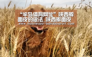 “半岛体育网址”陕西擀面皮的做法_陕西擀面皮怎么做_米拉Miira的菜谱(图2) 半岛体育下载