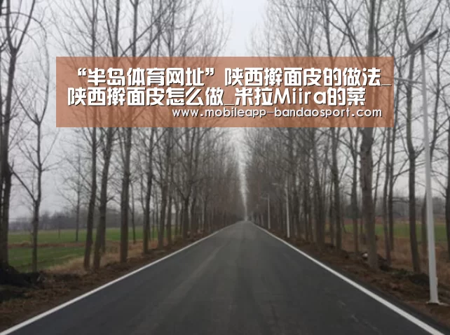 “半岛体育网址”陕西擀面皮的做法_陕西擀面皮怎么做_米拉Miira的菜谱(图1) 半岛体育网址