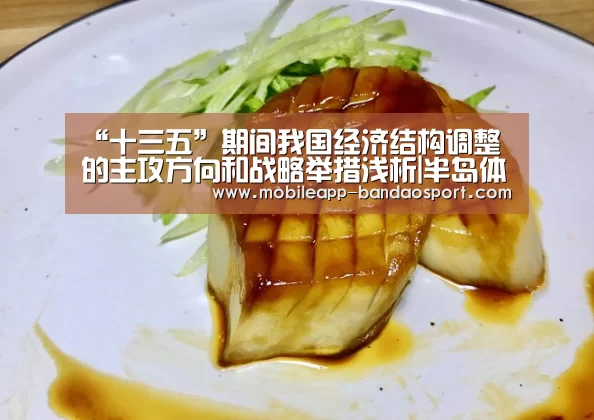 “十三五”期间我国经济结构调整的主攻方向和战略举措浅析|半岛体育下载(图4) 半岛体育官网