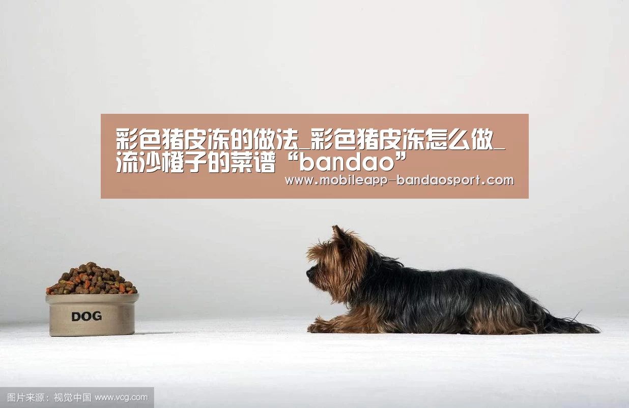 彩色猪皮冻的做法_彩色猪皮冻怎么做_流沙橙子的菜谱“bandao”(图2) 半岛体育网址
