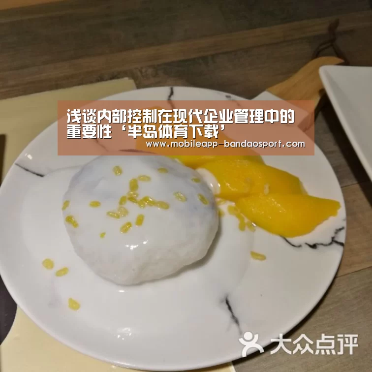 浅谈内部控制在现代企业管理中的重要性‘半岛体育下载’(图1) 半岛体育下载