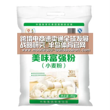 跨境电商速卖通全球发展战略研究_半岛体育官网(图3) 半岛体育
