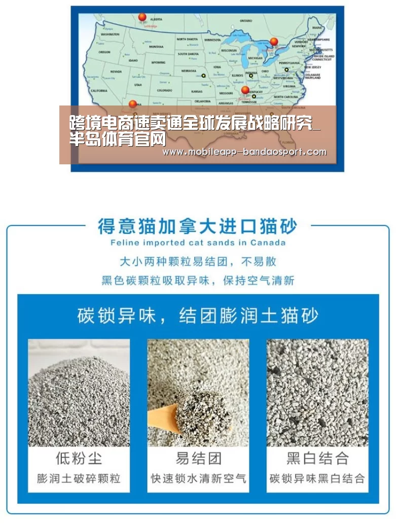 跨境电商速卖通全球发展战略研究_半岛体育官网(图1) 半岛体育