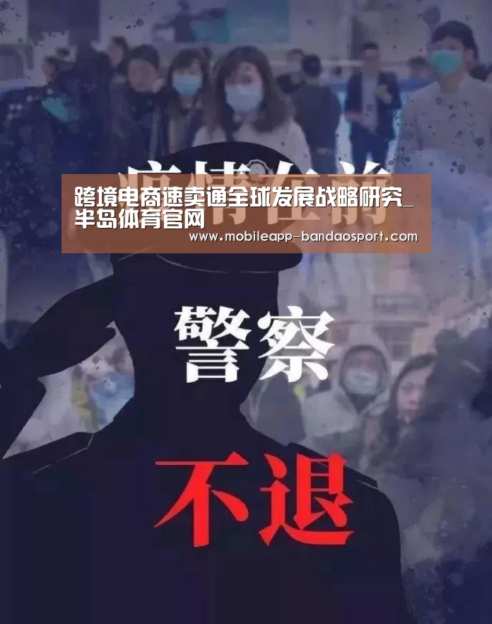 跨境电商速卖通全球发展战略研究_半岛体育官网(图4) 半岛体育
